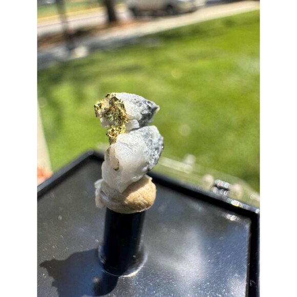 Gold on Quartz - Natural California Gold Specimen in Perky Display Box - #12 - Picture 4 of 9